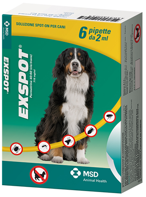 Immagine del prodotto